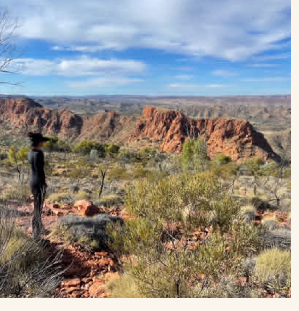 Looking out over the West MacDonnell Ranges
